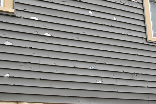 Best Property Management Cleanouts  in Olive Hill, KY
