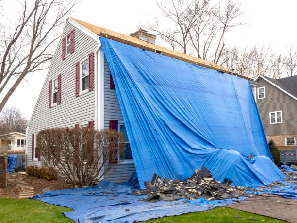 Best Dumpster Rental Services  in Olive Hill, KY